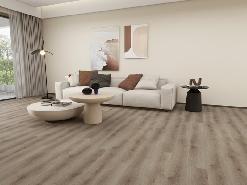 Forest HD Collection room scene